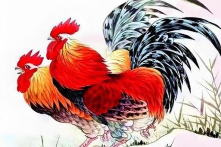 63岁是鸡，揭秘生肖鸡的终极命运密码