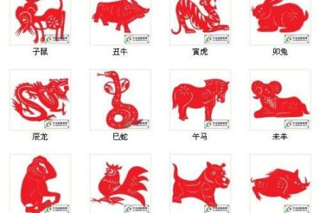 商字五行解析：你了解它的真正含义吗？
