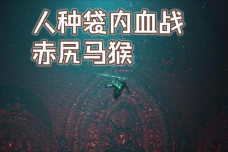 红猴命：揭秘神秘命运之谜