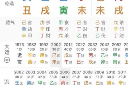 天干地支排八字，揭秘命运密码