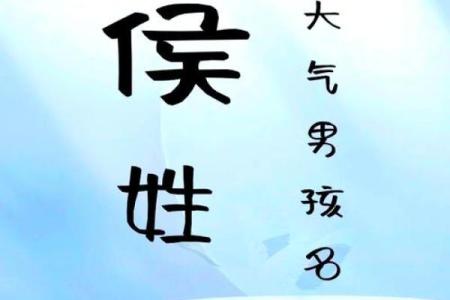 给侯姓男孩取个响亮又有寓意的名字