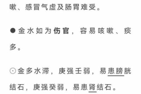 五行揭秘：影响未来的关键转折点