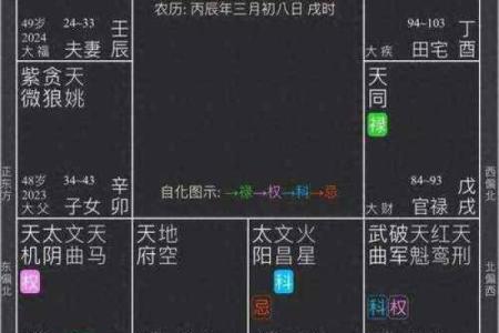 紫微排盘灵机：揭示你未来的财富与健康走向