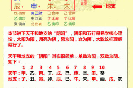 贞字五行解读，了解它对你运势的深远影响