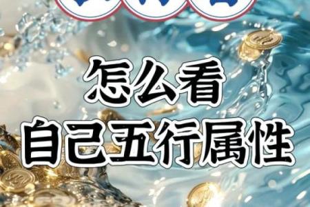 图字五行属性揭秘