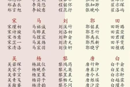 用家字起名，寓意深远的选择