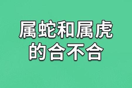1986年虎年：揭秘水命虎的独特魅力与运势