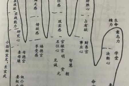 十天干掌诀图：揭秘古代智慧，掌握人生运势
