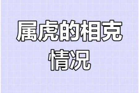 属虎年：揭秘五行中的神秘命格