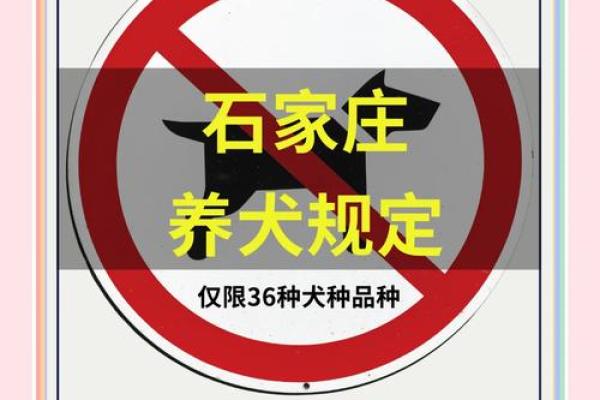 畜牧行业公司命名必备指南，轻松搞定品牌塑造