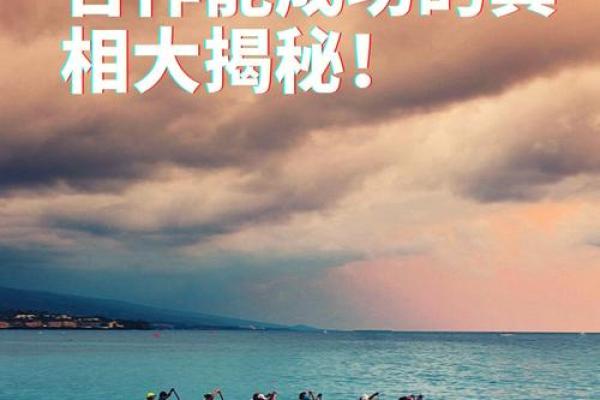 不花钱也能精准预测未来，免费排盘系统大揭秘