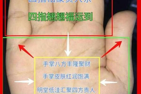 手相桃花线揭秘：揭秘你的桃花运势，邂逅真爱就在一瞬间