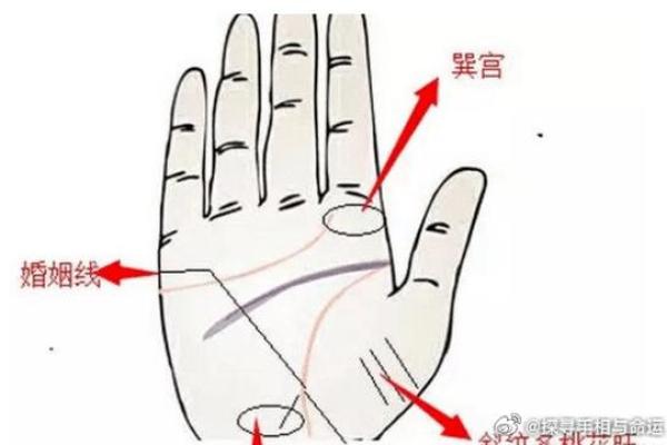 手相桃花线揭秘：揭秘你的桃花运势，邂逅真爱就在一瞬间