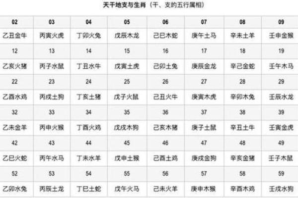 天干地支：揭秘十二生肖运势巅峰
