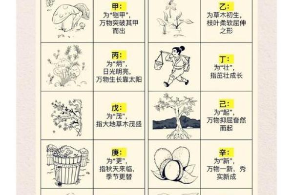 天干根强弱与人生运势的微妙关系