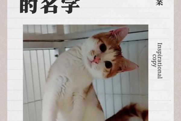 李长名字的五大独特魅力