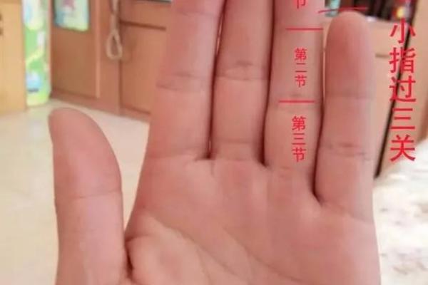 一指窥健康：揭秘手相中的秘密，掌握身体健康的密码
