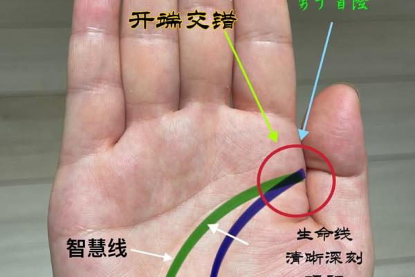 揭秘微信看手相，你的命运在这里