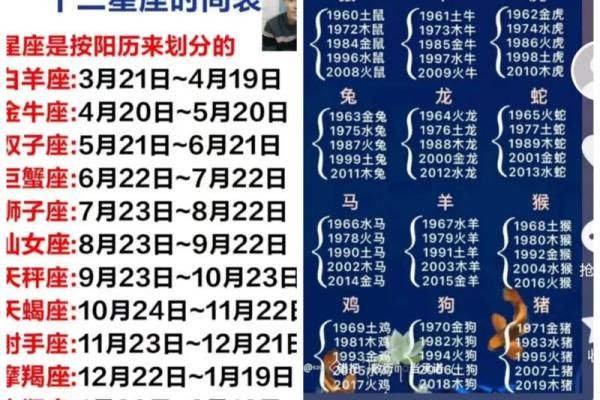 探索五行中马的属性与意义