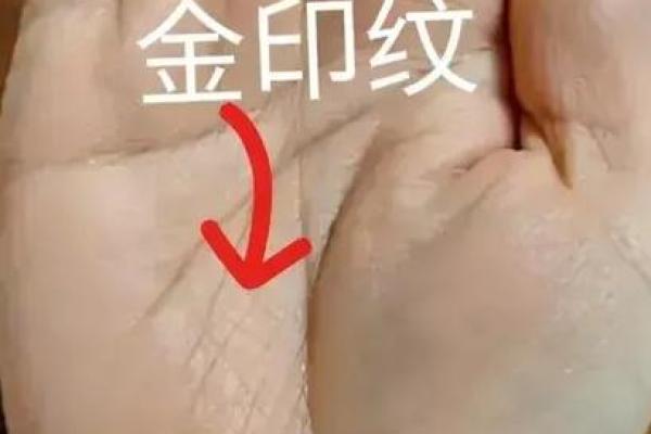 揭秘鸡爪纹手相：财运亨通的秘密，你了解多少？