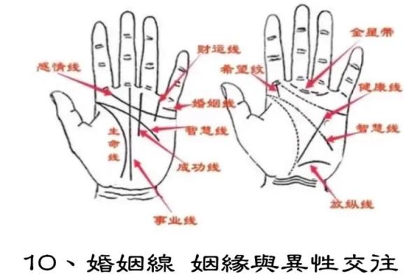 揭秘鸡爪纹手相：财运亨通的秘密，你了解多少？