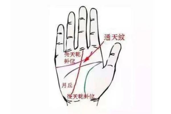 揭秘手相胆囊区小红点：健康预警还是神秘信号？