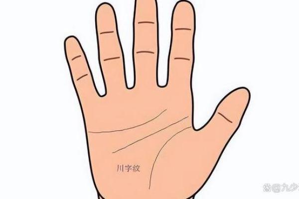 揭秘：手相中隐藏的小孩数量，你猜对了几个？