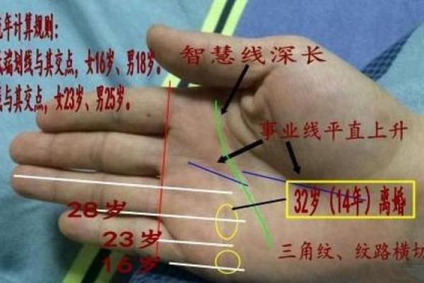 揭秘：手相命运，先天基因VS后天努力，谁才是真正决定你命运的关键？