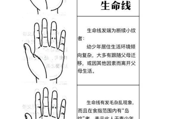 揭秘：手相命运，先天基因VS后天努力，谁才是真正决定你命运的关键？