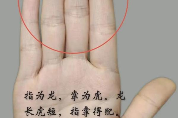 手相入门零难度，一学就会的神秘手相学揭秘