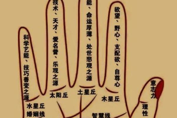 手相入门零难度，一学就会的神秘手相学揭秘
