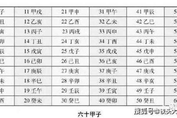 掌握奇门遁甲排盘程序专业版，轻松解读人生运势