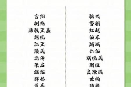适合导游公司的名字灵感，帮助你吸引更多客户