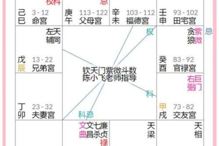 想知道未来运势？这几个紫微排盘网站最靠谱