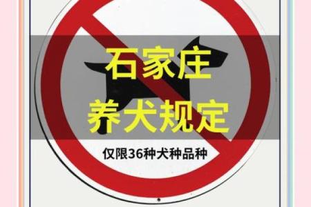 畜牧行业公司命名必备指南，轻松搞定品牌塑造