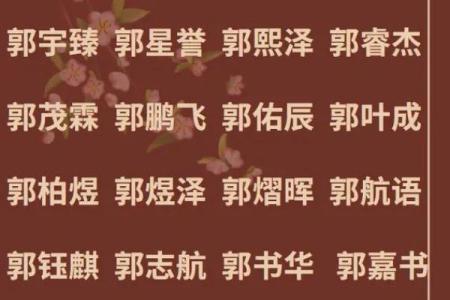 足球队起名大全：让你的球队名字瞬间脱颖而出