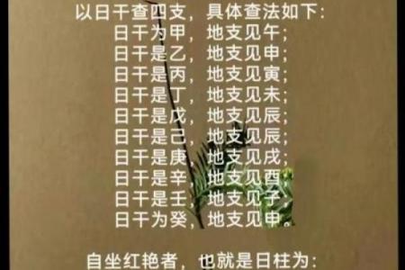 水鼠之命：揭秘命理中的神秘力量