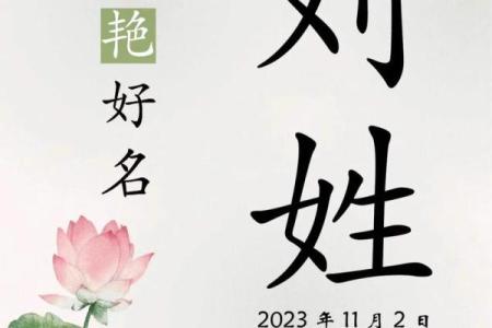 刘姓女孩如何取名字？这些选择值得参考