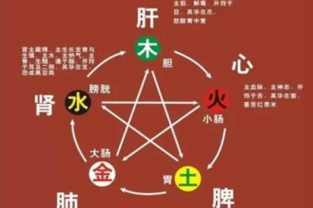 乐字的五行属性揭晓 深入了解五行学问