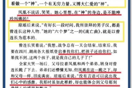 四两六，揭秘中下命的神秘面纱