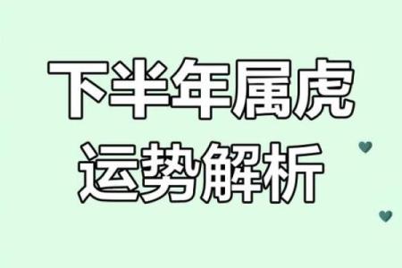 虎年运势揭秘：揭秘属虎者的五行命理秘密