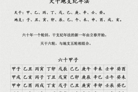 为什么天干对你如此重要？