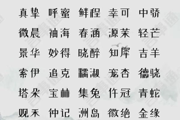 水金双元素，如何为公司起一个吸引眼球的名字