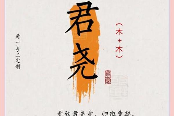 朝字赋予名字独特气质，解析命名奥秘