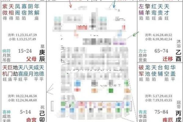 探索紫薇排盘与易安居的完美结合，提升生活质量