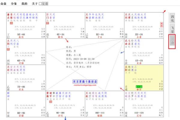 探索紫薇排盘与易安居的完美结合，提升生活质量