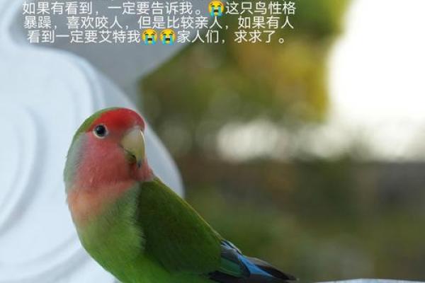 给鸟起个有趣名字，打破传统，惊艳你的朋友！