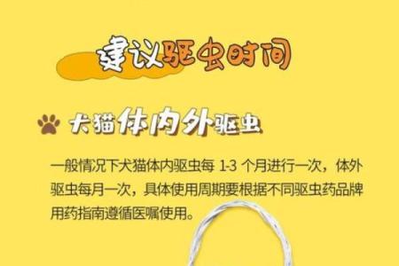 给母狗起个酷名字？这份名字大全帮你轻松搞定