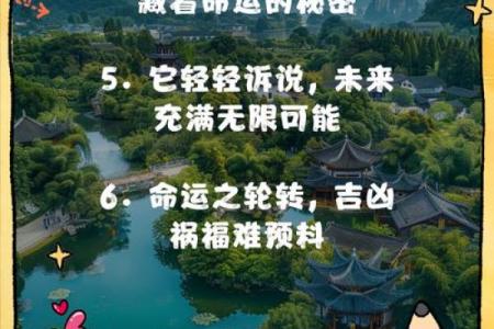 小贵的命是什么意思？揭秘人生奥秘