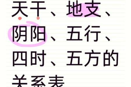 天干地支与人体气血运行的奇妙关联